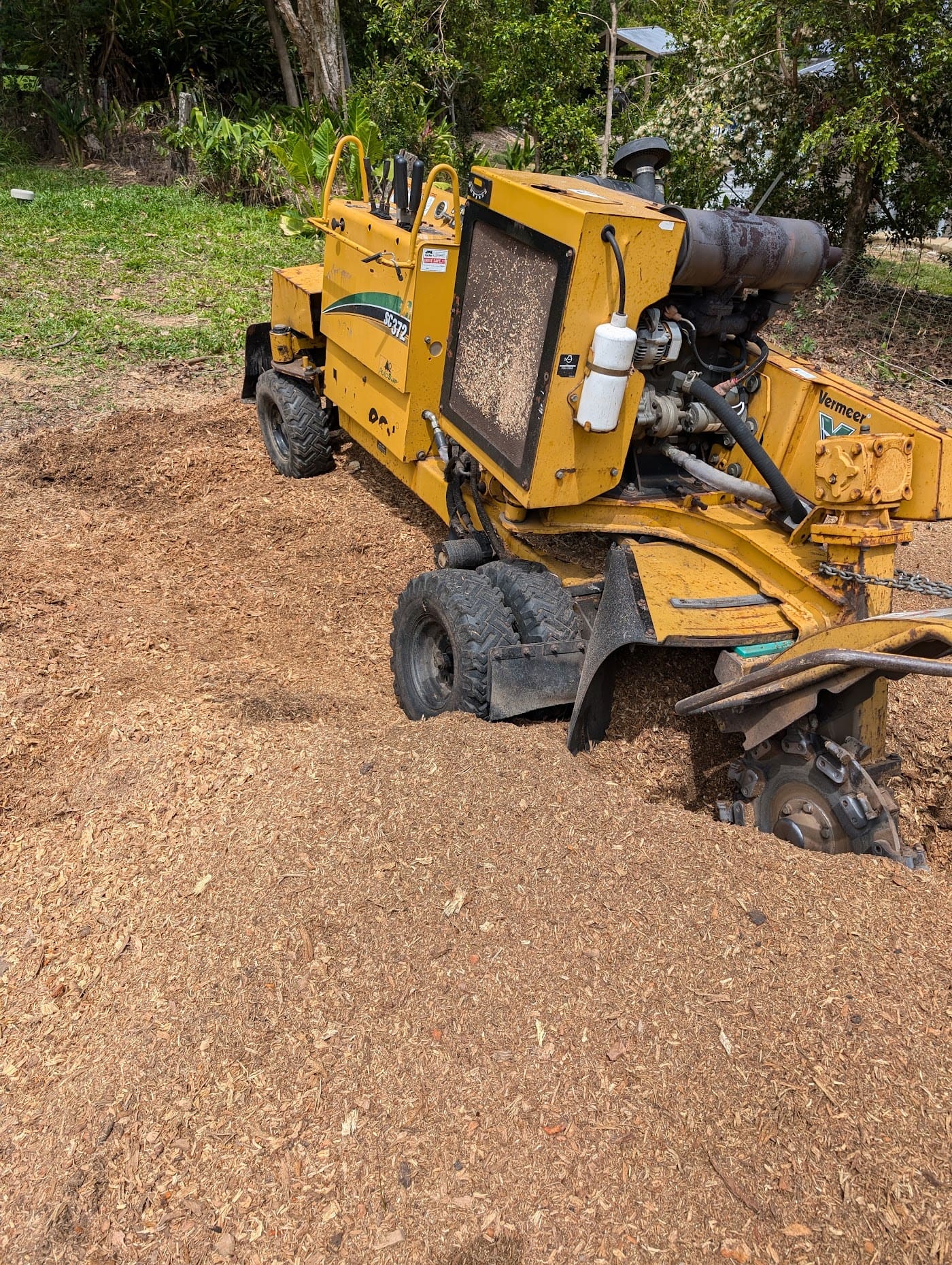 Work by Greenish Tree Care