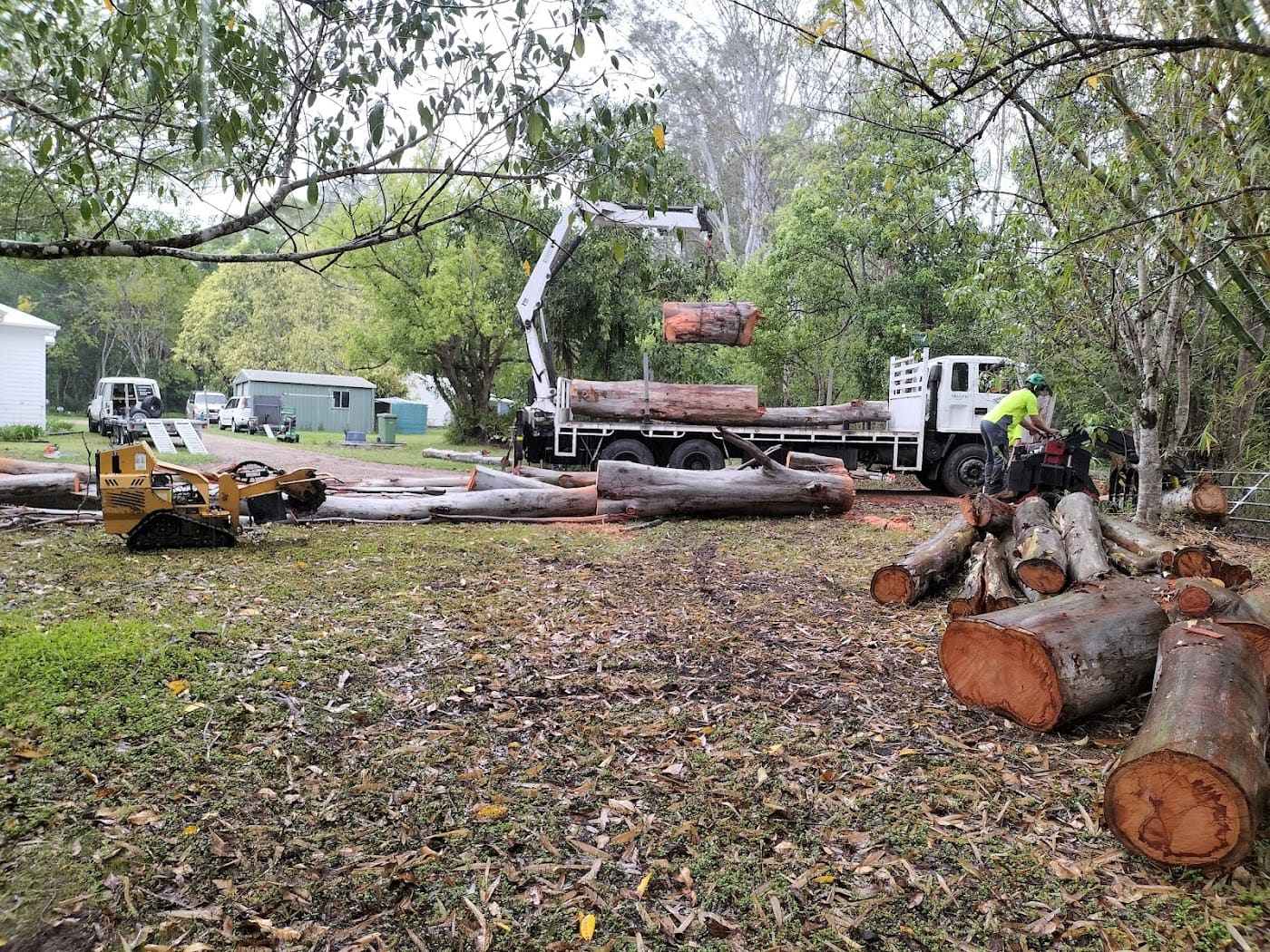 Work by Greenish Tree Care
