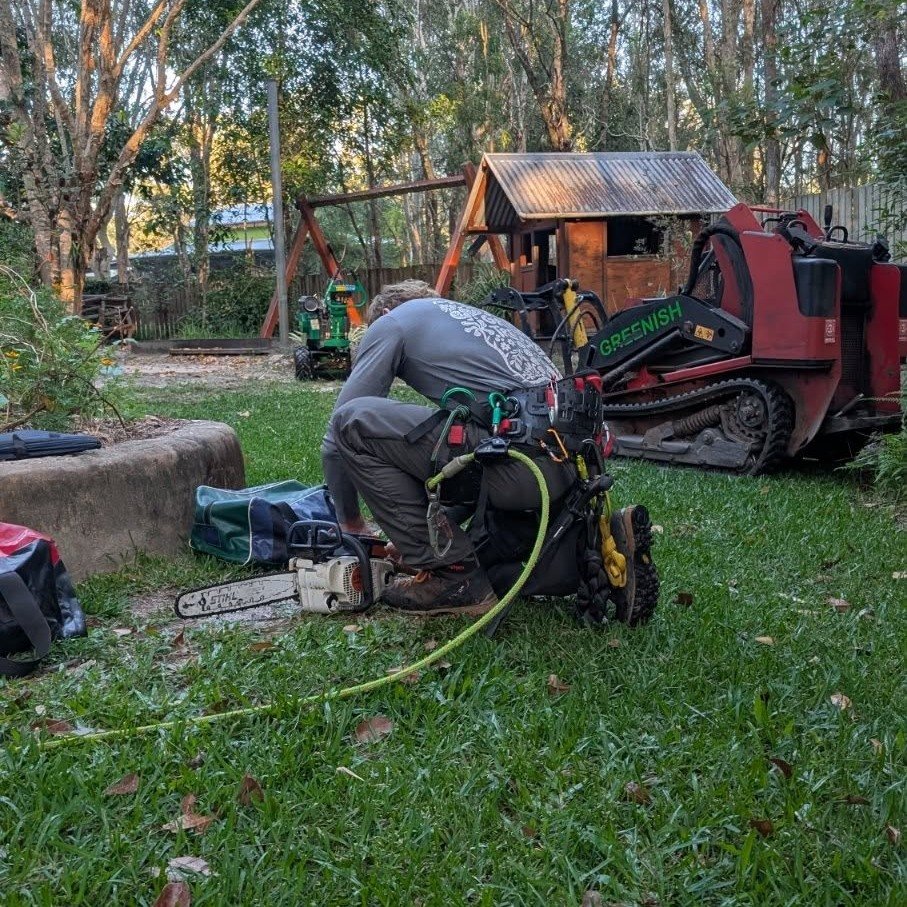 Work by Greenish Tree Care